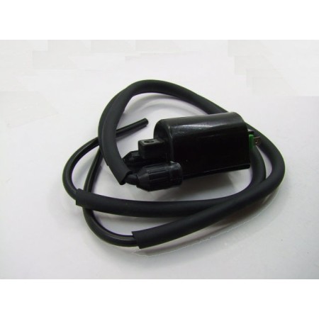 Allumage - Bobine - 12v - Double - 80mm - ....