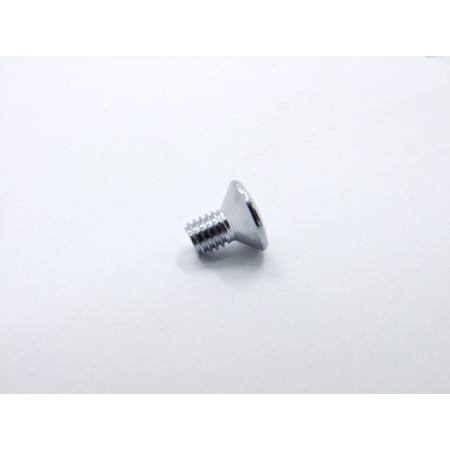 Carter droit - Vis 6x10mm (x2)