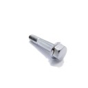 Vis - M10 x1.25 x 50mm - Acier Chromé -