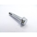 Vis - M10 x1.25 x 60mm - Acier Chromé - 