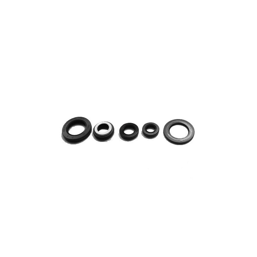 Moteur - Pochette joint a levre -  Kit joint Spy - XTZ660