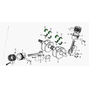 Moteur - 1/2 Coussinet de vilebrequin - Vert - VF750  ....  - (x1)