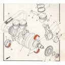 Moteur - Vilebrequin - 1/2 Coussinet - (x1) - Vert - XS750, ...
