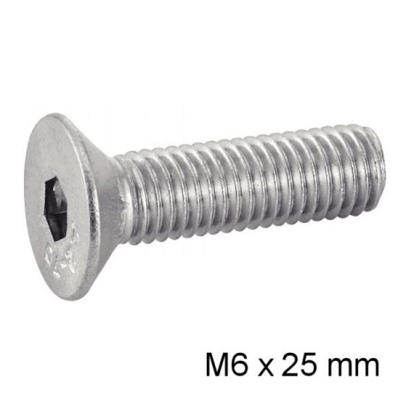 Vis - M6 x25 - BTR - Fraisee - DIN 7991 - Inox