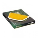 Filtre a Air - Hiflofiltro - HFA-2913 - GPZ1000 RX