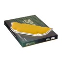 Filtre a Air - hiflofiltro - HFA-2905 - ZX10 Tomcat - 11013-1167