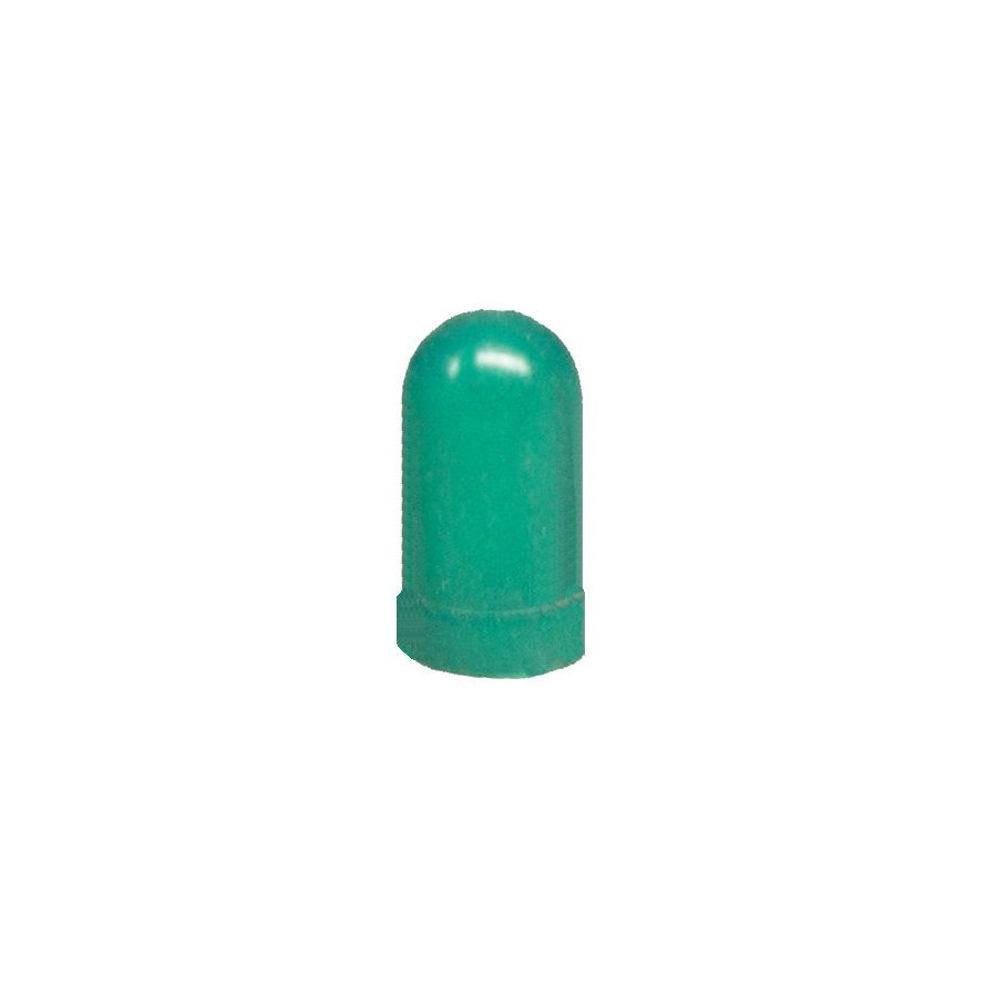 Ampoule - W2x4.6D - Capuchon - Vert 