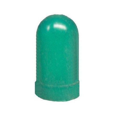 Ampoule - W2x4.6D - Capuchon - Vert 