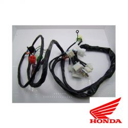 Cablage - faisceau electrique - CBX1000 z/a - Origine Honda