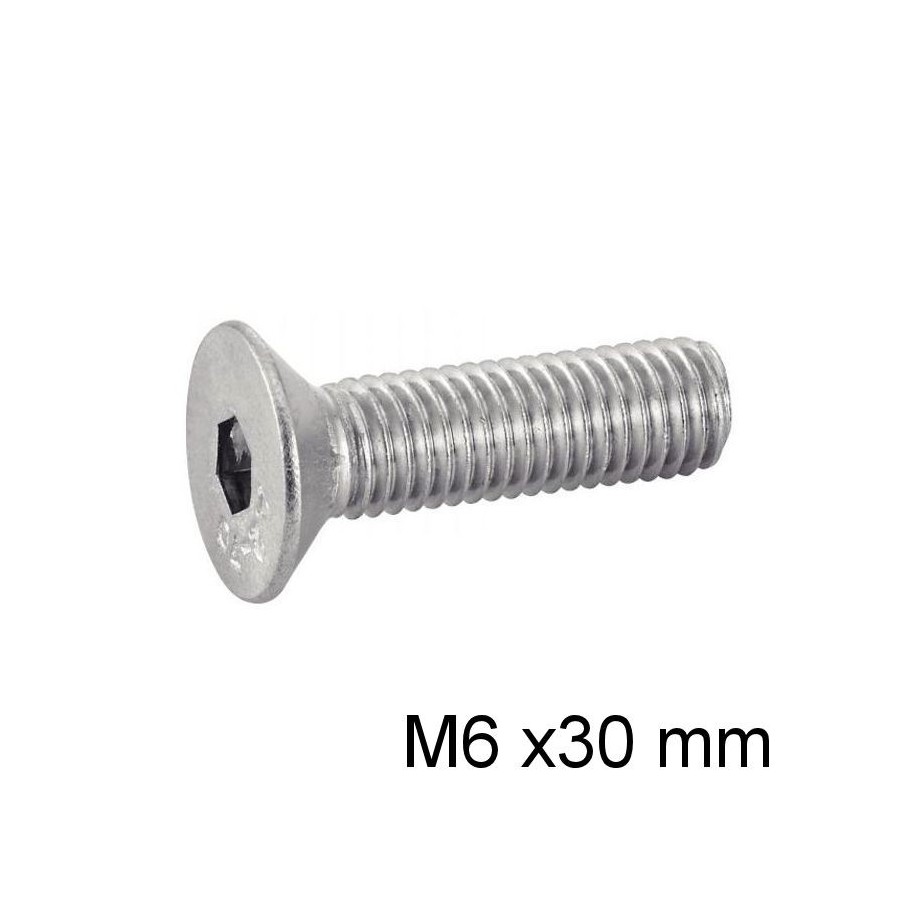 Vis - M6 x30 - BTR - Fraisee - DIN 7991 - Inox