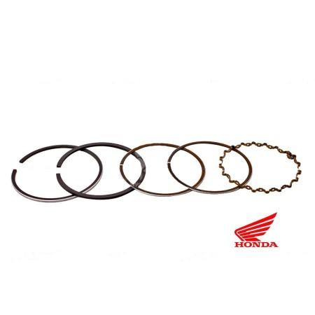 Moteur - Segment - "230"-"303"-"399" - ø44.50mm - (+0.50)