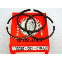 Moteur - Segment - (+0.25) - Z50 - C50