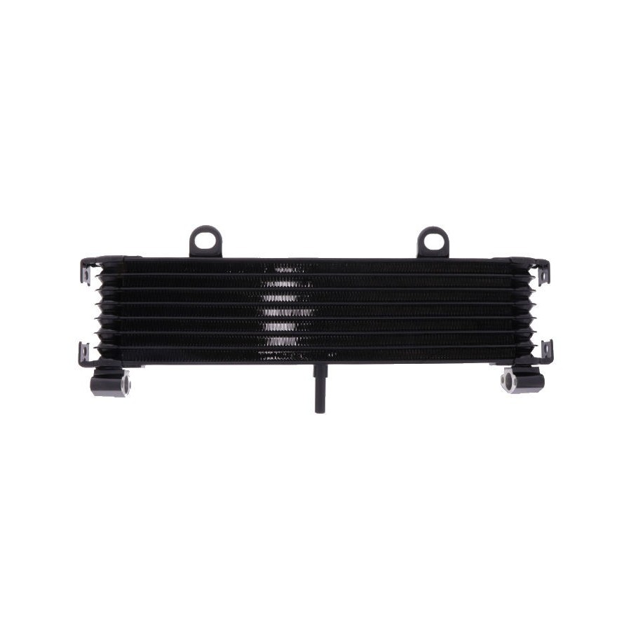 Radiateur - Huile - XJR1300