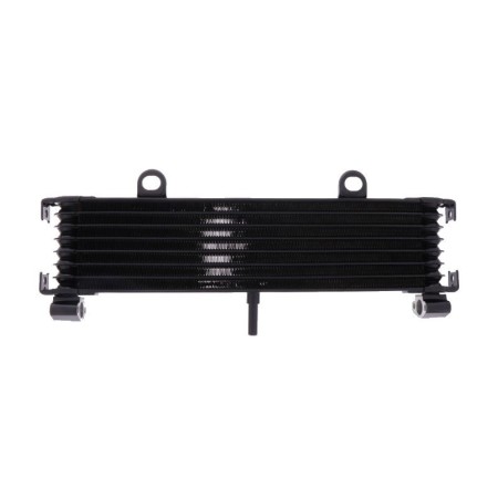 Radiateur - Huile - XJR1300