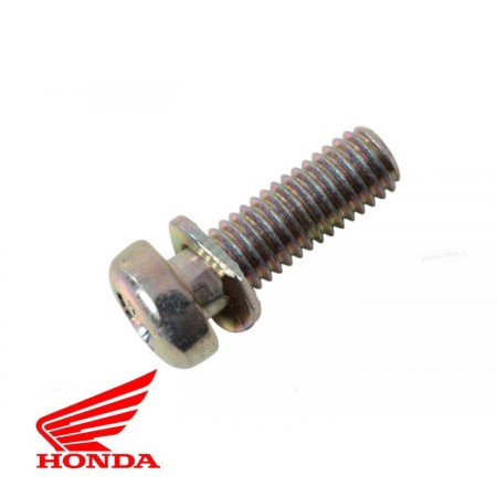 Carburateur - Vis Cruciforme - M5 x16 mm + rondelle 