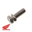 Carburateur - Vis Cruciforme - M5 x16 mm + rondelle 