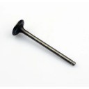 Moteur - Soupape - Echappement - 12005-1013