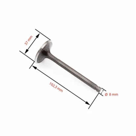 Moteur - Soupape - Echappement - XV750 - 4X7-12121-00