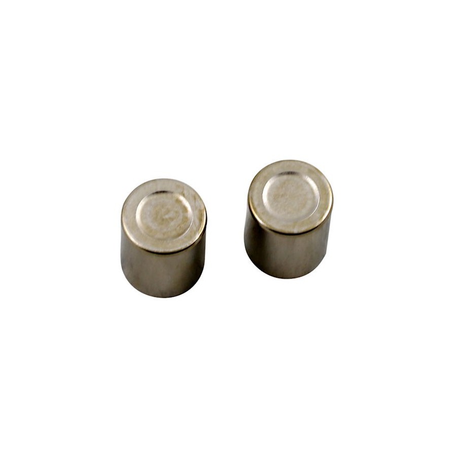 Service Moto Pieces|Frein - Etrier - Piston (x2) - ø25.30 x31.00mm - GL1500-XL125-VT750 .....|Piston Frein|36,90 €