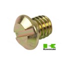 Carburateur - Vis "bouchon" - Gicleur de ralenti - 2F1-14991-00- XS1100 - (2H9) - 1979