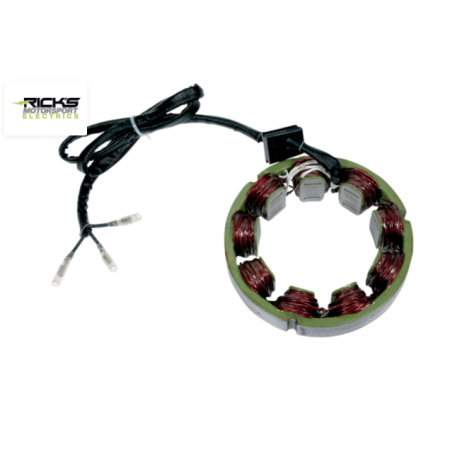 Alternateur - Stator - KZ900 - Rick's - 21076-023