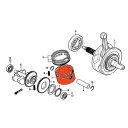 Moteur - Piston - (0.00) - ø 76.00 -- XL250R 