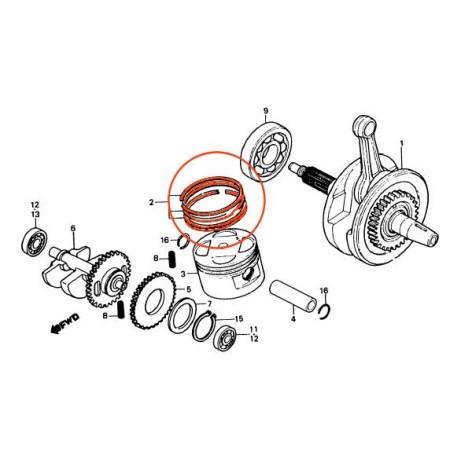 Moteur - Segment - (0.00) - ø 76.00 - XL250R