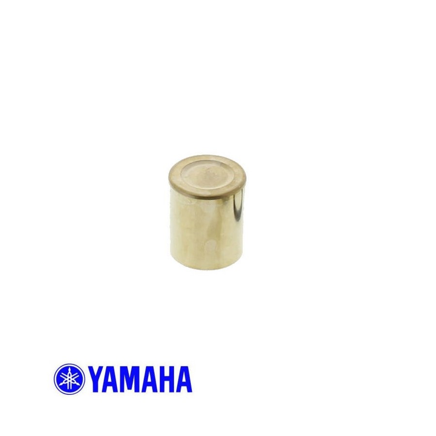 Service Moto Pieces|Frein - Etrier - Piston - ø25.30 x31.00mm - GL1500-XL125-VT750 .....|Piston Frein|36,90 €