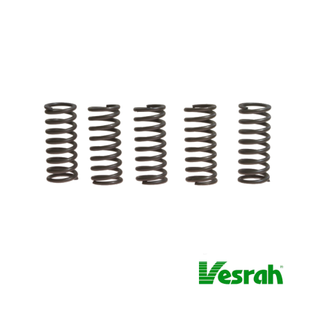 Embrayage - ressort (x6 ) - Vesrah - CBR1000, CB1000F, GPZ1100, ZZR1100, RF900