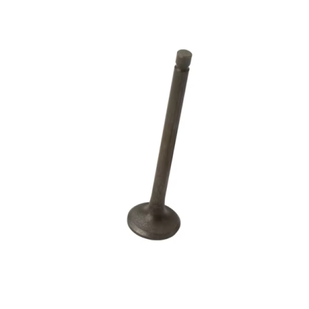 Soupape - Echappement - CB125T, CM125C/T, CM185, CM200