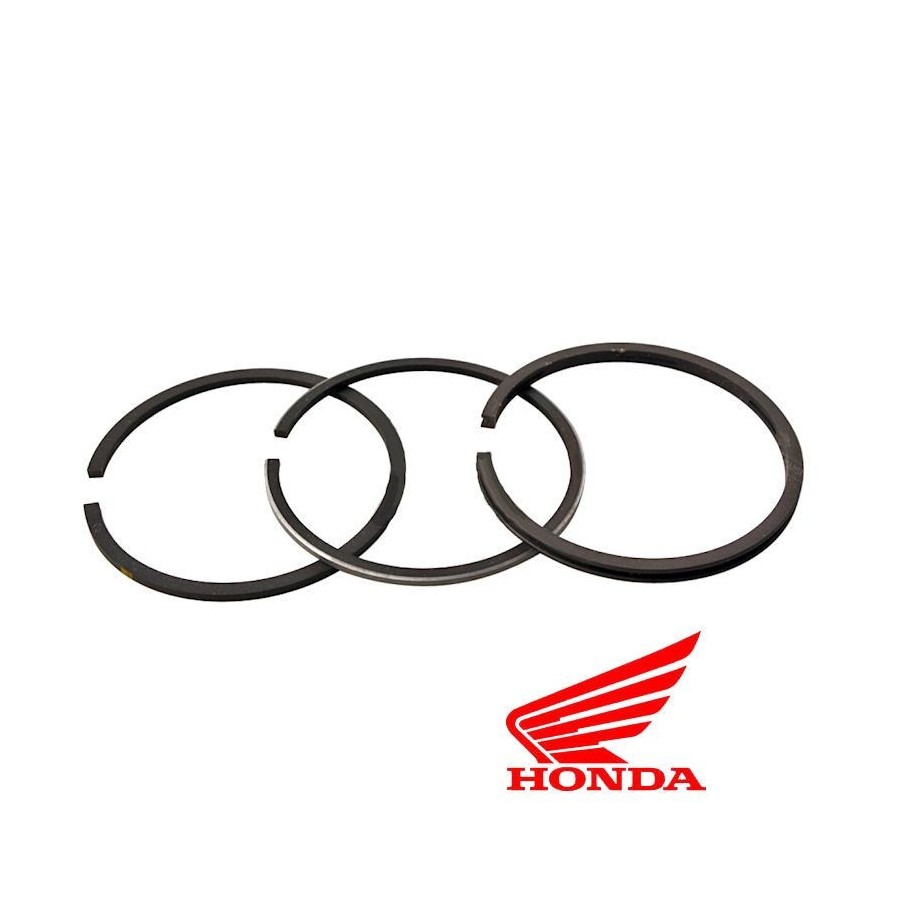 Moteur - Segment - "230"-"303"-"399" - ø45.00mm - (+1.00)