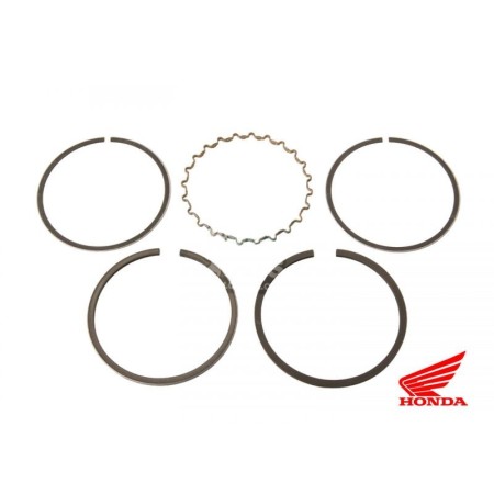 Moteur - Segment - "230"-"303"-"399" - ø45.00mm - (+1.00)