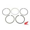 Moteur - Segment - "230"-"303"-"399" - ø45.00mm - (+1.00)