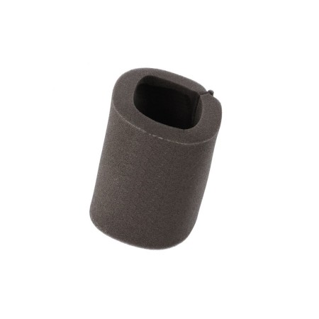 Filtre a air - CG125 - 1 Cyl. - 17213-397-003