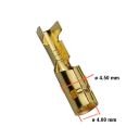 Cosse rondeø4.00 mm - Femelle a sertir - (x10)