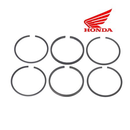 Moteur - Segment - (x2) - 351, 230, 303, 399 - ø44.25mm - (+0.25)