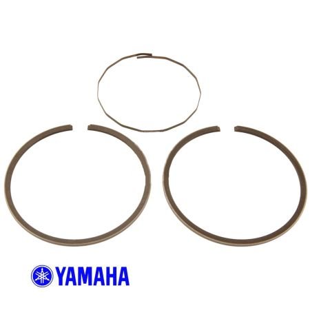 Moteur - Segment (+0.50) - 316-11610-20 - 125 AT2
